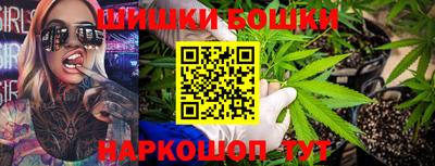 крисы Будённовск