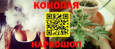 крисы Будённовск