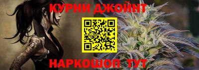 крисы Будённовск